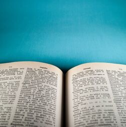 Sacar foi a palavra mais pesquisada no dicionário Priberam em 2025