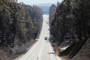 Acusação de Pedrógão Grande deixa de fora duas vítimas indirectas