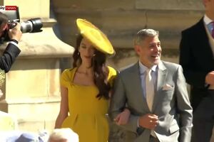 10000000_178025249695980_5819342337146355712_n.mp4