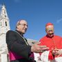 Papa nomeia bispo de Leiria-Fátima como cardeal