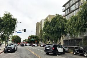 Autoridades estão no local a investigar