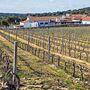 Os vinhos da Tapada do Chaves