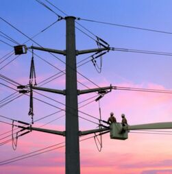 Cerca de 180 mil clientes da E-Redes continuavam sem energia às 08:00 devido ao mau tempo