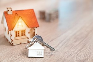 PS avança com alterações a 46 artigos da Lei de Bases da Habitação após negociações