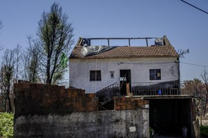 Pedrógão Grande: Antigo vice-presidente da câmara diz que 'era para reconstruir tudo'