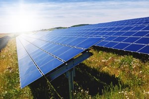 Zero considera que apenas um dos nove projetos de centrais solares é exemplo a seguir