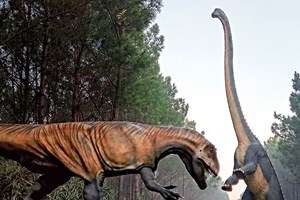 31 aventuras em família em Agosto