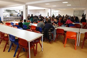 PSD/Lisboa crítica decisão de tribunal sobre criança cigana