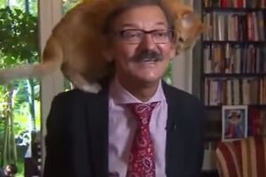 Gato 'invade' entrevista de historiador durante direto para programa de televisão
