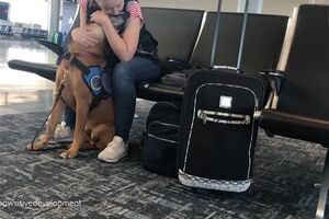 Support Dog Recognises Owner's Panic Attacks.mp4
