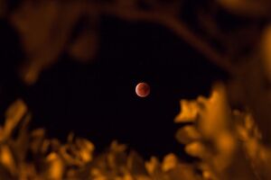 eclipse lua