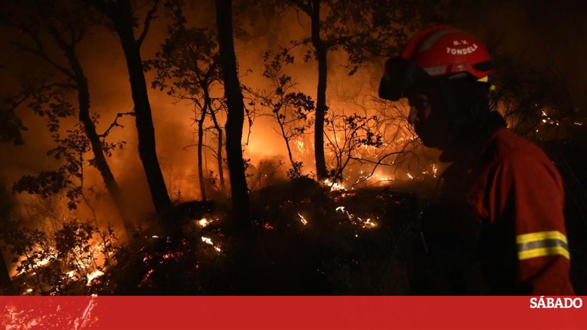 Incendios 16 Concelhos Do Interior Norte E Centro E Do Algarve Em Risco Maximo Ultima Hora Sabado