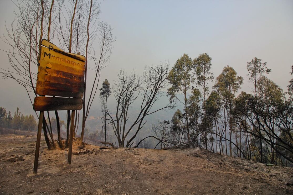 Monchique incêndios 