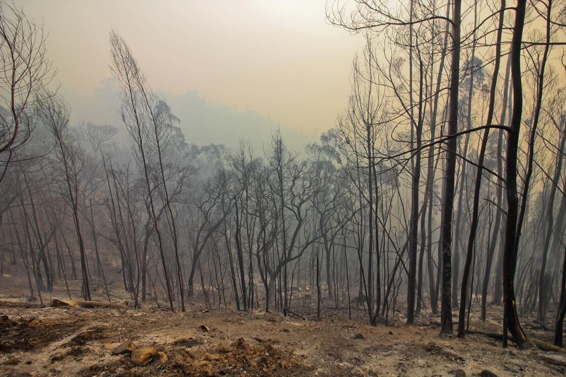 Monchique incêndios 