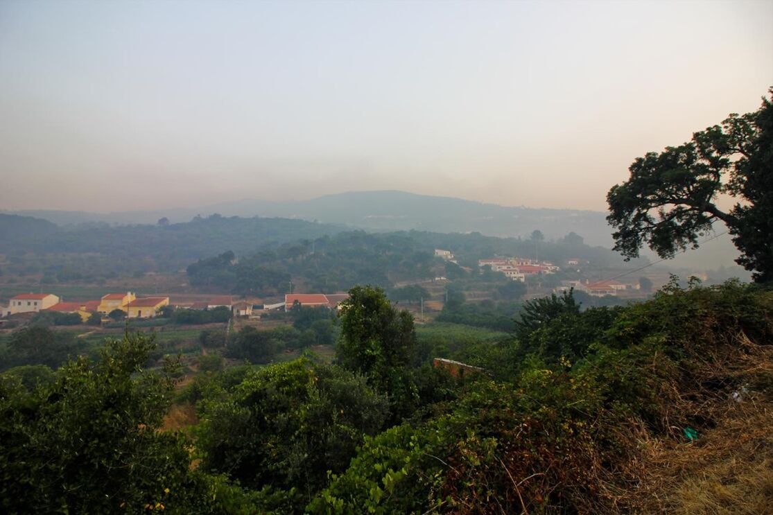 Monchique incêndios 