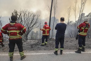 Fogo de Monchique em 2018 começou com embate de cabo elétrico em eucalipto