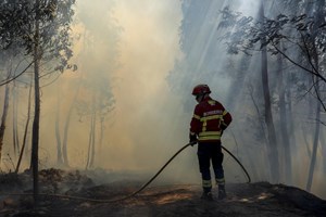 Incêndios Silves 