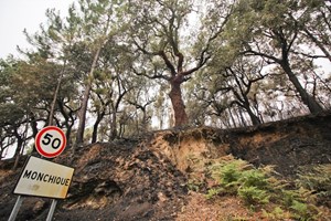 Incêndios: Quatro meses depois do fogo de Monchique população continua à espera das ajudas