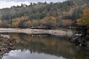 Seca, lítio e apanha noturna de azeitona na lista do pior do ambiente para a Quercus