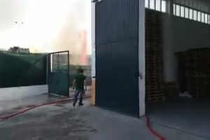 camarate.mp4