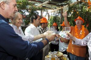 rui rio madeira