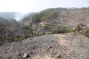 Monchique incêndio fogo