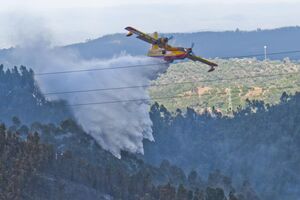 Monchique incêndio fogo