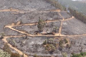 Monchique incêndio fogo