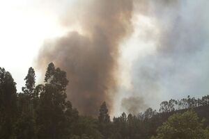 Monchique incêndio fogo