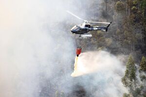 Monchique incêndio fogo