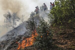 Monchique incêndios