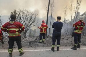 Monchique incêndios