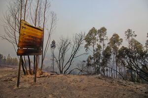 Monchique incêndios 