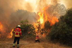 Incêndio Monchique