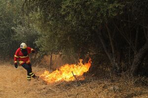 Incêndio Monchique
