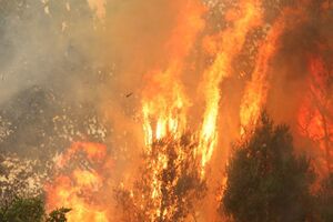 Incêndio Monchique