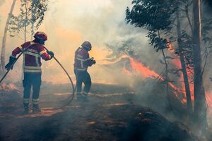 Incêndios Silves 