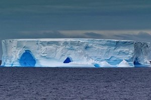 O que leva os jovens a lutar pelo clima nas ruas?