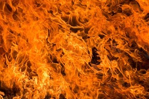 Incêndios: Extinto fogo que lavrava no concelho do Fundão