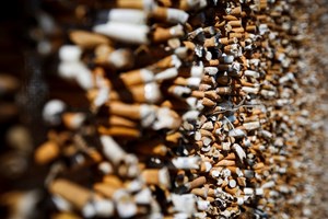 Parlamento aprova projeto de Lei do PAN sobre beatas de cigarros