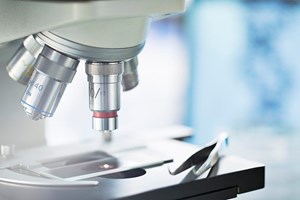Portugal conquista três prémios no Concurso para Jovens Cientistas da UE