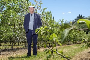 António Campos sobre jantar dos 50 anos do PS: 'Não ponho lá os pés'