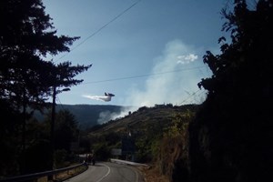 Incêndios: Dominado fogo que lavrava desde terça-feira na Covilhã