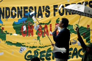Activistas da Greenpeace ocuparam refinaria de óleo de palma na Indonésia