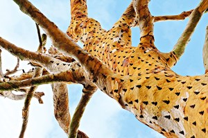 Na quinta do Pisão, arte e natureza misturam-se