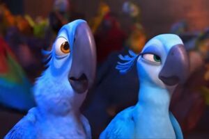Ararinha-azul no filme "Rio