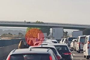 Vaca invade A1 e obriga a corte no trânsito