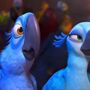 Está extinto o pássaro que protagonizou o filme 'Rio'