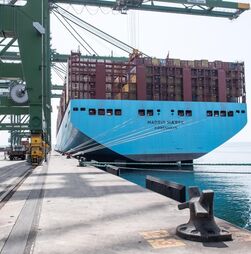 PJ apreendeu cinco toneladas de cocaína em navio porta-contentores alvo de buscas em Sines