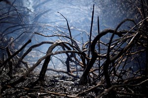 Jovens de 13 anos suspeitos de atear dois fogos em Sintra